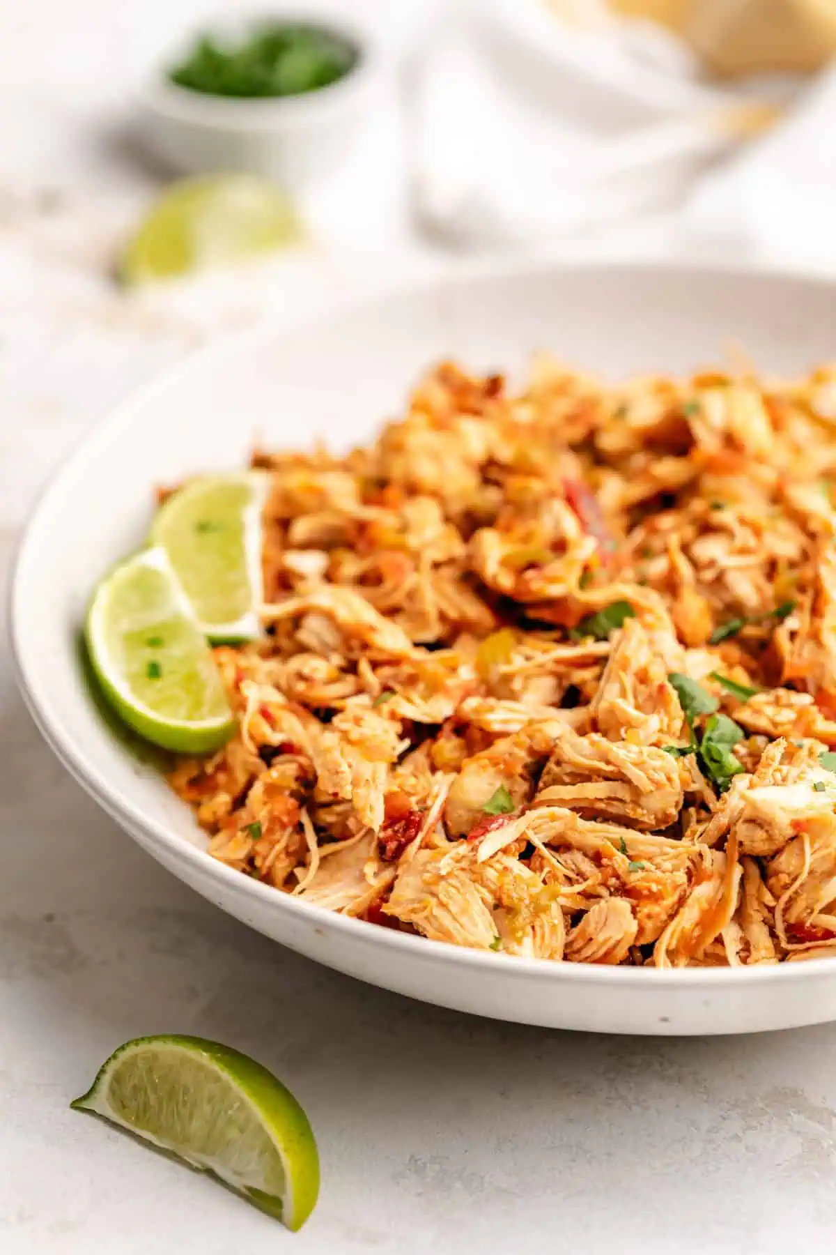 Side view of shredded chicken in a dish.