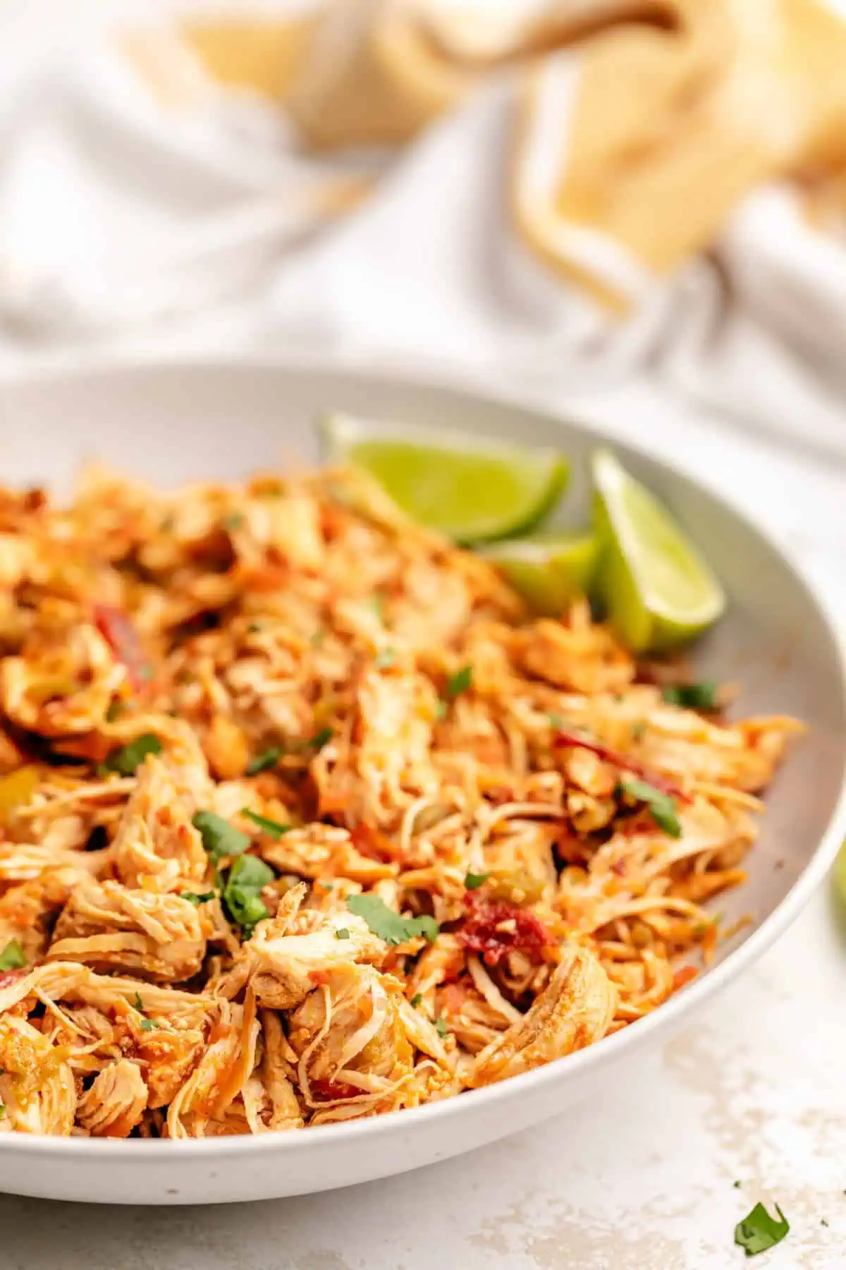 Side view of a plate of instant pot shredded chicken.