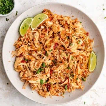 Close up view of shredded mexican chicken in a dish.