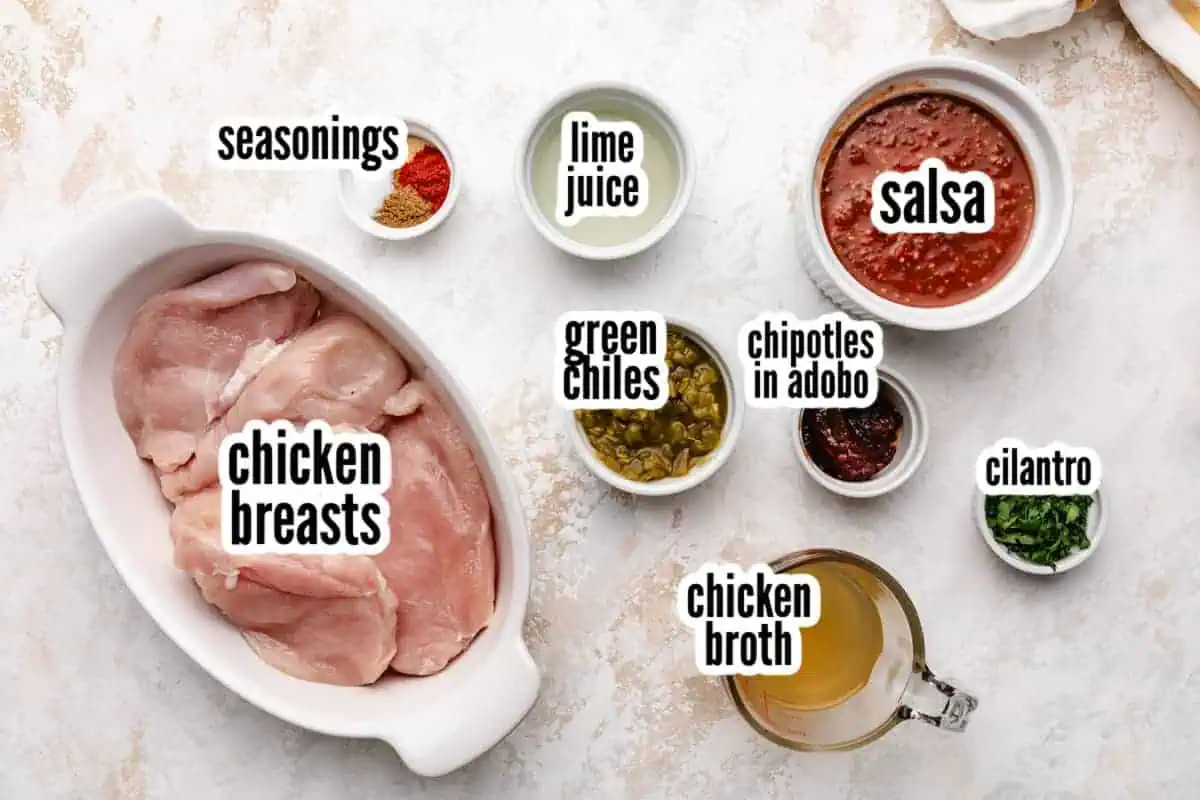 Ingredients for instant pot salsa chicken.