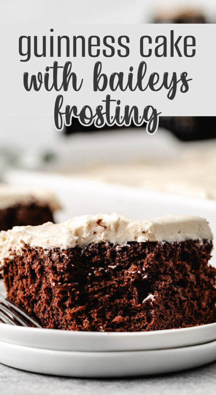 Chocolate cake topped with baileys frosting on a white plate.